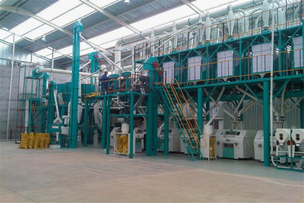 100t steel structure milling plant -2